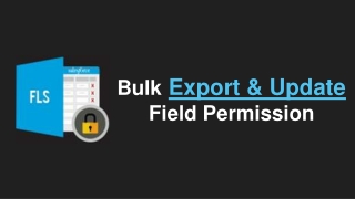 Export and Update Field Permission in BULK