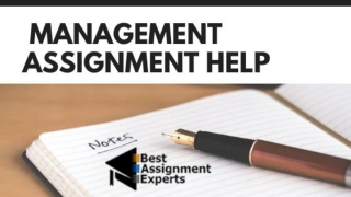 No. 1 Management Assignment Help