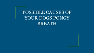 POSSIBLE CAUSES OF YOUR DOGS PONGY BREATH