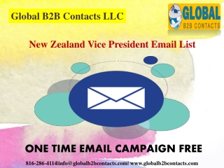 New Zealand Vice President Email List