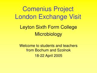 Comenius Project London Exchange Visit