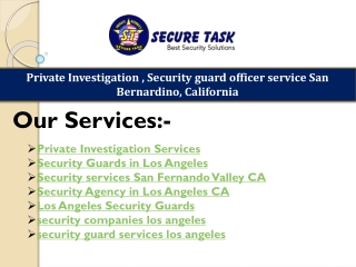 Private Investigation Services