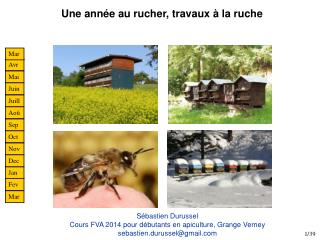 Une année au rucher, travaux à la ruche
