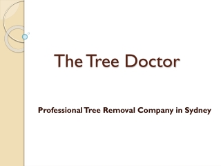 Professional Tree Pruning Services in Sydney | The Tree Doctor