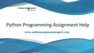 Python Programming Assignment Help