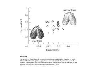 Figure 6.1