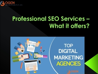 Professional SEO Services – What it offers?