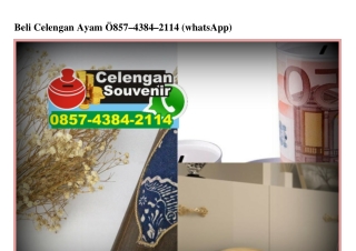 Beli Celengan Ayam 0857.4384.2114[wa]