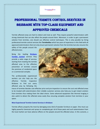Professional Termite Control Services in Brisbane With Top-Class Equipment and Approved Chemicals
