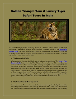 Pocket-friendly Tiger Safari Tours India