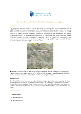 Comprehensive Report on Rice Protein Market