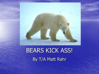 BEARS KICK ASS!