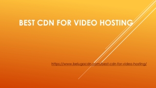 Best CDN for Video Hosting | BelugaCDN