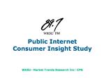 Public Internet Consumer Insight Study