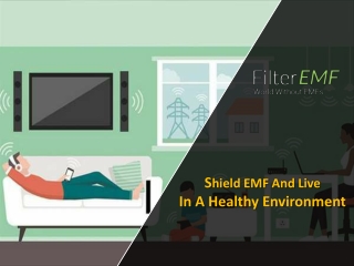 Shield EMF And Live In A Healthy Environment