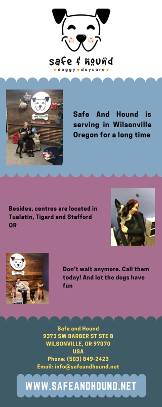 Doggie Daycare Tigard OR