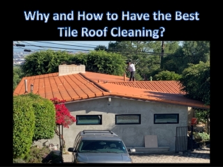 Why and How to Have the Best Tile Roof Cleaning?