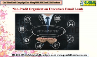 Non-Profit Organization Executives Email Leads