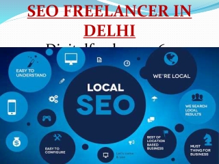 seo freelancer in delhi