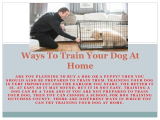 Ways To Train Your Dog At Home