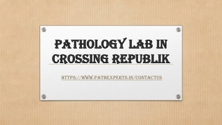 Pathology lab in Crossing Republik