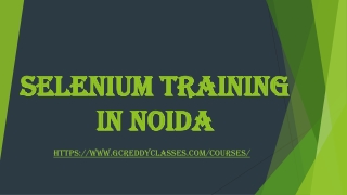 SELENIUM TRAINING IN NOIDA