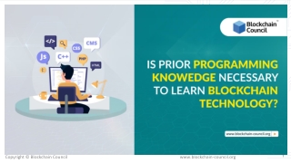 Is Prior Programming Knowledge necessary to learn Blockchain Technology?