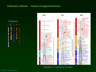 Parkin et al. 2005 (Genetics)