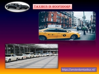 Taxibus in Hoofddorp