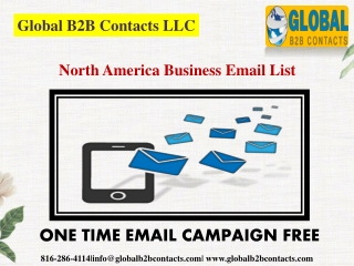 North America Business Email List