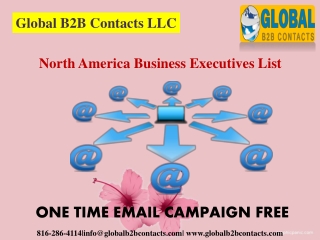 North America Business Executives List