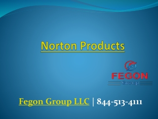 Norton Products - 8445134111 - Fegon Group