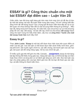 Hướng dẫn cách viết một bài ESSAY | Luận Văn 2S