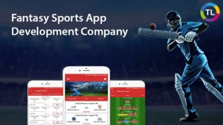 Fantasy Sports App Development Company