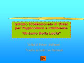 Istituto Professionale di Stato per l’Agricoltura e l’Ambiente “Antonio Della Lucia”