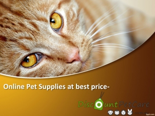 Pet Food & Supplies | Low Prices & Free Shipping in Australia | DiscountPetCare.com.au