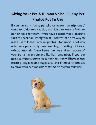 Giving Your Pet A Human Voice - Funny Pet Photos Put To Use