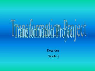 Transformation Project