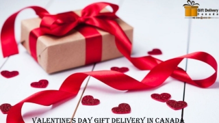 Same day Valentine's Day special gift delivery in Canada
