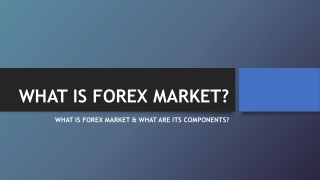 What Is Forex Market? Everything You Must Know About Forex