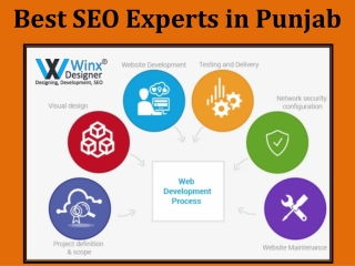 SEO Experts in Punjab | SEO Consultant Punjab | 9877575088