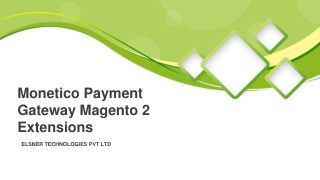 Monetico Payment Gateway Extension For Magento 2 By Elsner