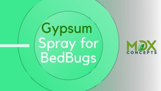 MDX Concepts Gypsum Spray for Bed  Bugs