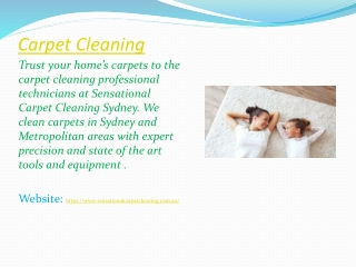 best carpet cleaner in sydney
