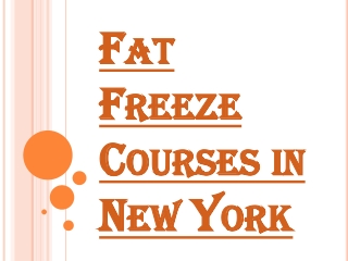 Fat Freeze Courses in New York