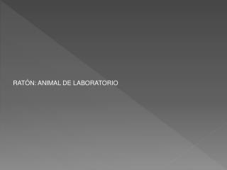 RATÓN: ANIMAL DE LABORATORIO