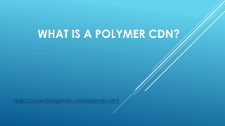 What is Polymer CDN | belugaCDN
