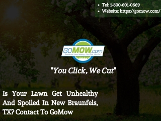 Is your lawn get unhealthy and spoiled in New Braunfels, TX? Contact to GoMow