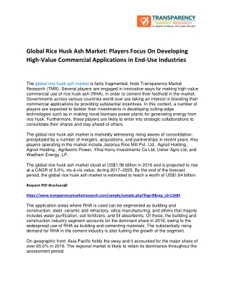 GLOBAL RICE HUSK ASH MARKET: PLAYERS FOCUS ON DEVELOPING HIGH-VALUE COMMERCIAL APPLICATIONS IN END-USE INDUSTRIES