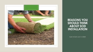 Reasons you should think about sod installation and cost of sod installer in 2020